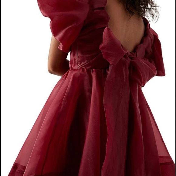 gretta organza mini dress Gretta Organza Mini Dress